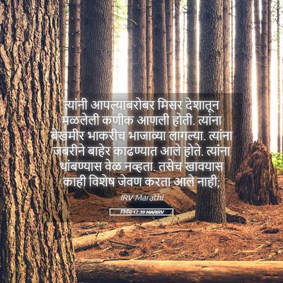 Picture 05 - निर्गम 12:39 MARIRV - त्यांनी - Bible Verse Picture
