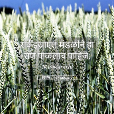 Picture 05 - निर्गम 12:47 MARIRV - सर्व इस्राएल - Bible Verse Picture