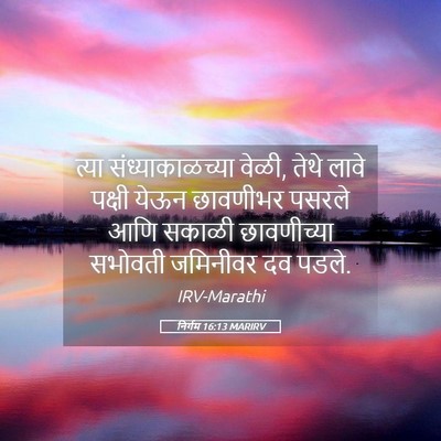 Picture 05 - निर्गम 16:13 MARIRV - त्या - Bible Verse Picture