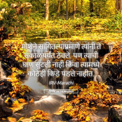 Picture 05 - निर्गम 16:24 MARIRV - मोशेने - Bible Verse Picture