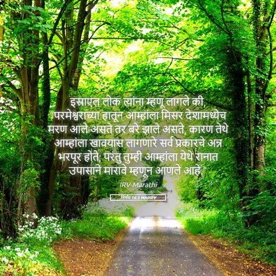 Picture 05 - निर्गम 16:3 MARIRV - इस्राएल लोक - Bible Verse Picture