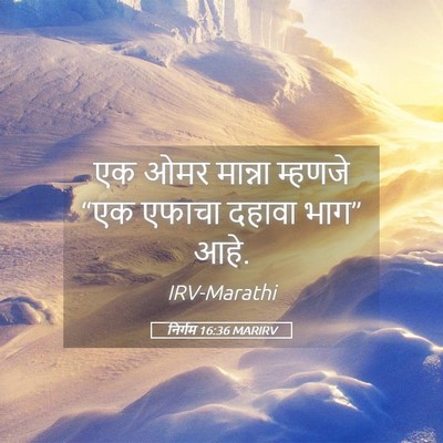 Picture 05 - निर्गम 16:36 MARIRV - एक ओमर मान्ना - Bible Verse Picture