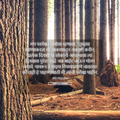 Picture 05 - निर्गम 16:4 MARIRV - मग परमेश्वर - Bible Verse Picture