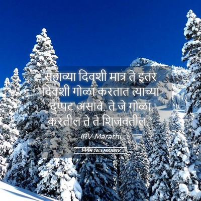 Picture 05 - निर्गम 16:5 MARIRV - सहाव्या दिवशी - Bible Verse Picture