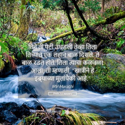Picture 05 - निर्गम 2:6 MARIRV - तिने ती पेटी उघडली - Bible Verse Picture