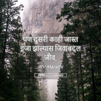 Picture 05 - निर्गम 21:23 MARIRV - पण दुसरी काही - Bible Verse Picture