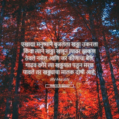 Picture 05 - निर्गम 21:33 MARIRV - एखाद्या मनुष्याने - Bible Verse Picture