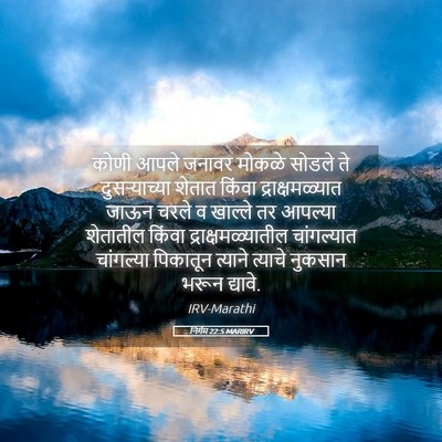 Picture 05 - निर्गम 22:5 MARIRV - कोणी आपले जनावर - Bible Verse Picture