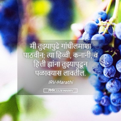 Picture 05 - निर्गम 23:28 MARIRV - मी तुझ्यापुढे - Bible Verse Picture