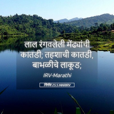 Picture 05 - निर्गम 25:5 MARIRV - लाल रंगवलेली - Bible Verse Picture