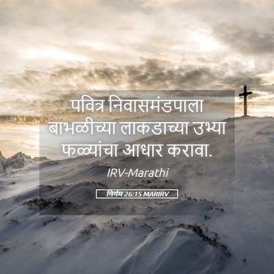 Picture 05 - निर्गम 26:15 MARIRV - पवित्र - Bible Verse Picture