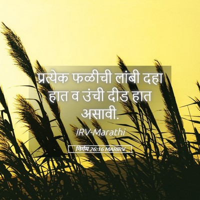 Picture 05 - निर्गम 26:16 MARIRV - प्रत्येक फळीची - Bible Verse Picture