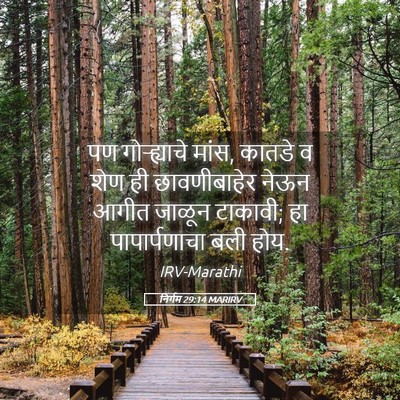 Picture 05 - निर्गम 29:14 MARIRV - पण गोऱ्ह्याचे - Bible Verse Picture
