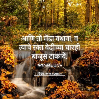 Picture 05 - निर्गम 29:16 MARIRV - आणि तो मेंढा वधावा; - Bible Verse Picture