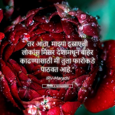 Picture 05 - निर्गम 3:10 MARIRV - तर आता, माझ्या - Bible Verse Picture
