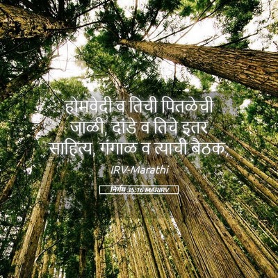 Picture 05 - निर्गम 35:16 MARIRV - होमवेदी व तिची - Bible Verse Picture