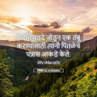 Picture 05 - निर्गम 36:18 MARIRV - हे दोन पडदे जोडून - Bible Verse Picture