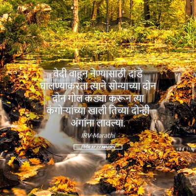 Picture 05 - निर्गम 37:27 MARIRV - वेदी वाहून - Bible Verse Picture