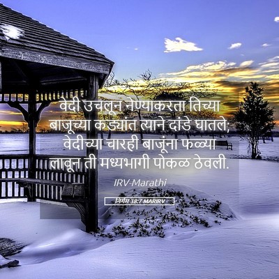 Picture 05 - निर्गम 38:7 MARIRV - वेदी उचलून - Bible Verse Picture