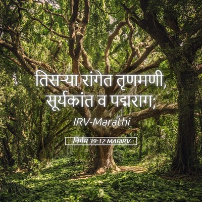 Picture 05 - निर्गम 39:12 MARIRV - तिसऱ्या रांगेत - Bible Verse Picture