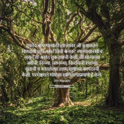 Picture 05 - निर्गम 39:5 MARIRV - एफोद बांधण्यासाठी - Bible Verse Picture