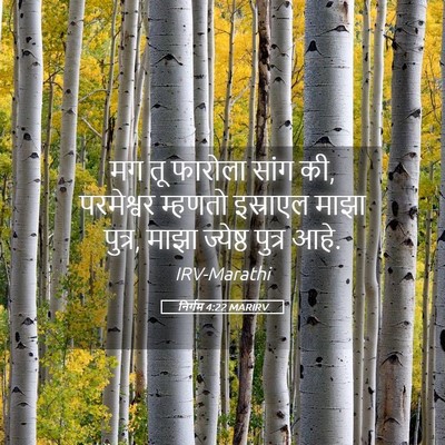 Picture 05 - निर्गम 4:22 MARIRV - मग तू फारोला सांग - Bible Verse Picture