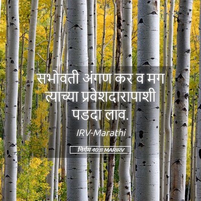 Picture 05 - निर्गम 40:8 MARIRV - सभोवती अंगण कर व मग - Bible Verse Picture