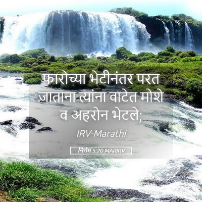 Picture 05 - निर्गम 5:20 MARIRV - फारोच्या भेटीनंतर - Bible Verse Picture