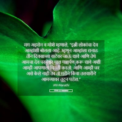 Picture 05 - निर्गम 5:3 MARIRV - मग अहरोन व मोशे - Bible Verse Picture