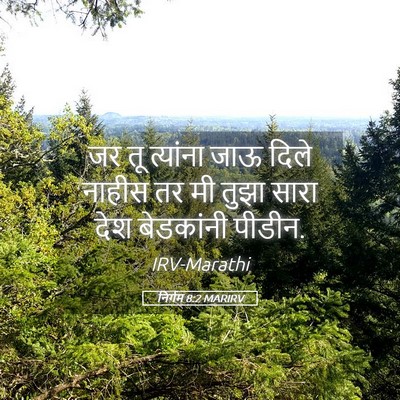 Picture 05 - निर्गम 8:2 MARIRV - जर तू त्यांना जाऊ - Bible Verse Picture