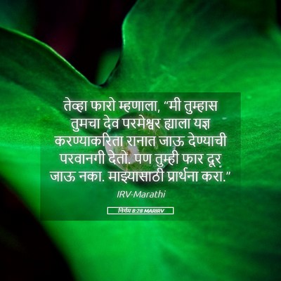 Picture 05 - निर्गम 8:28 MARIRV - तेव्हा फारो - Bible Verse Picture