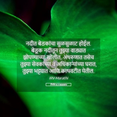 Picture 05 - निर्गम 8:3 MARIRV - नदीत बेडकांचा - Bible Verse Picture