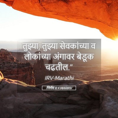 Picture 05 - निर्गम 8:4 MARIRV - तुझ्या, तुझ्या - Bible Verse Picture