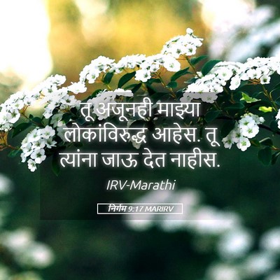 Picture 05 - निर्गम 9:17 MARIRV - तू अजूनही माझ्या - Bible Verse Picture