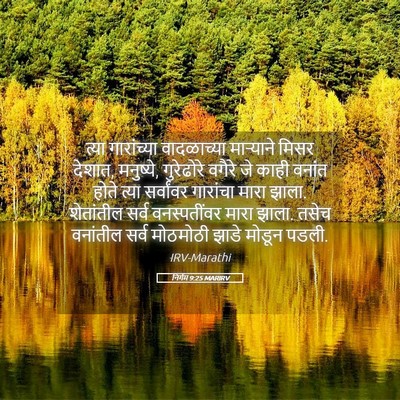 Picture 05 - निर्गम 9:25 MARIRV - त्या गारांच्या - Bible Verse Picture