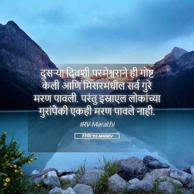 Picture 05 - निर्गम 9:6 MARIRV - दुसऱ्या दिवशी - Bible Verse Picture