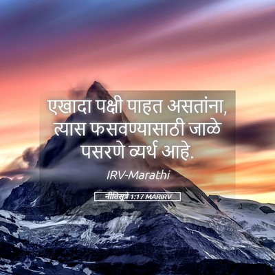 Picture 05 - नीतिसूत्रे 1:17 MARIRV - एखादा पक्षी पाहत - Bible Verse Picture