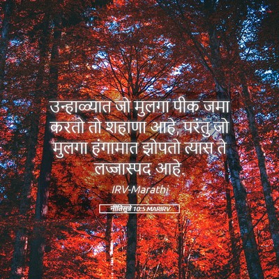 Picture 05 - नीतिसूत्रे 10:5 MARIRV - उन्हाळ्यात जो - Bible Verse Picture