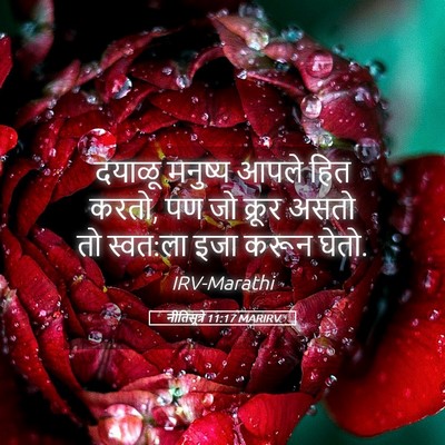Picture 05 - नीतिसूत्रे 11:17 MARIRV - दयाळू मनुष्य आपले - Bible Verse Picture