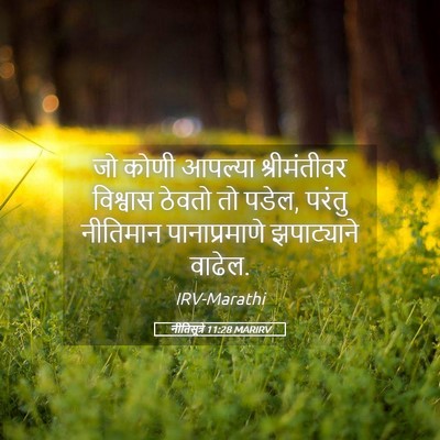 Picture 05 - नीतिसूत्रे 11:28 MARIRV - जो कोणी आपल्या - Bible Verse Picture