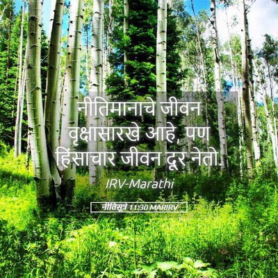 Picture 05 - नीतिसूत्रे 11:30 MARIRV - नीतिमानाचे जीवन - Bible Verse Picture