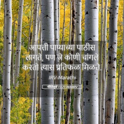 Picture 05 - नीतिसूत्रे 13:21 MARIRV - आपत्ती पाप्याच्या - Bible Verse Picture