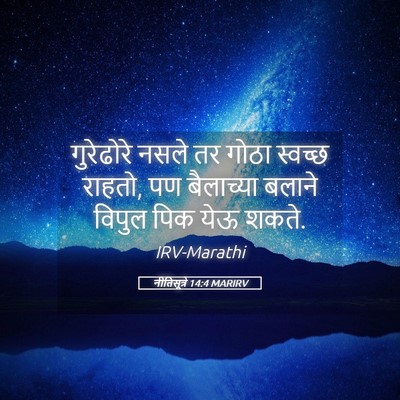 Picture 05 - नीतिसूत्रे 14:4 MARIRV - गुरेढोरे नसले तर - Bible Verse Picture