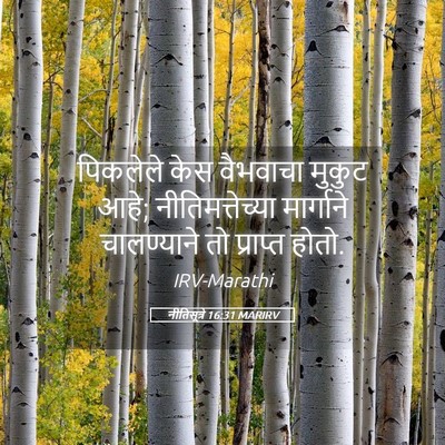 Picture 05 - नीतिसूत्रे 16:31 MARIRV - पिकलेले केस - Bible Verse Picture