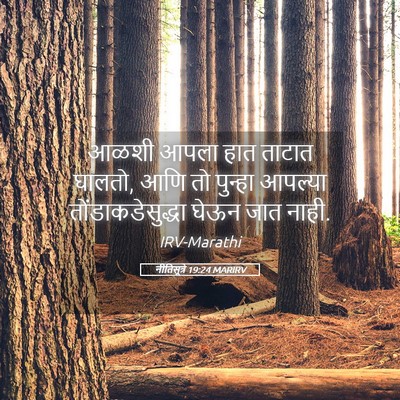 Picture 05 - नीतिसूत्रे 19:24 MARIRV - आळशी आपला हात - Bible Verse Picture