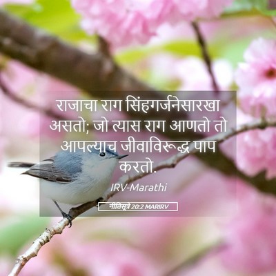 Picture 05 - नीतिसूत्रे 20:2 MARIRV - राजाचा राग - Bible Verse Picture