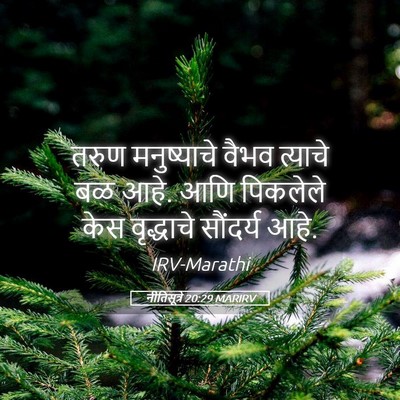 Picture 05 - नीतिसूत्रे 20:29 MARIRV - तरुण मनुष्याचे - Bible Verse Picture