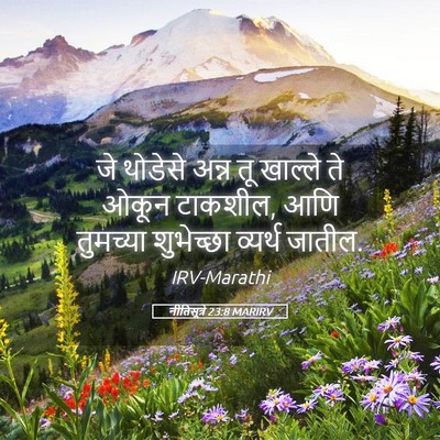 Picture 05 - नीतिसूत्रे 23:8 MARIRV - जे थोडेसे अन्न तू - Bible Verse Picture
