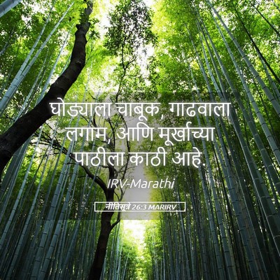 Picture 05 - नीतिसूत्रे 26:3 MARIRV - घोड्याला चाबूक, - Bible Verse Picture