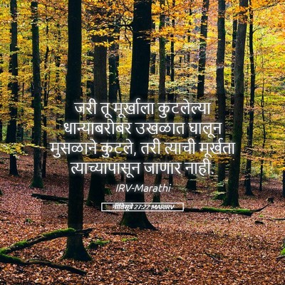 Picture 05 - नीतिसूत्रे 27:22 MARIRV - जरी तू मूर्खाला - Bible Verse Picture